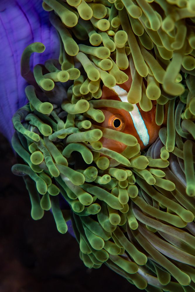 Photograph by Carlos Eduardo Barreto Pinheiro