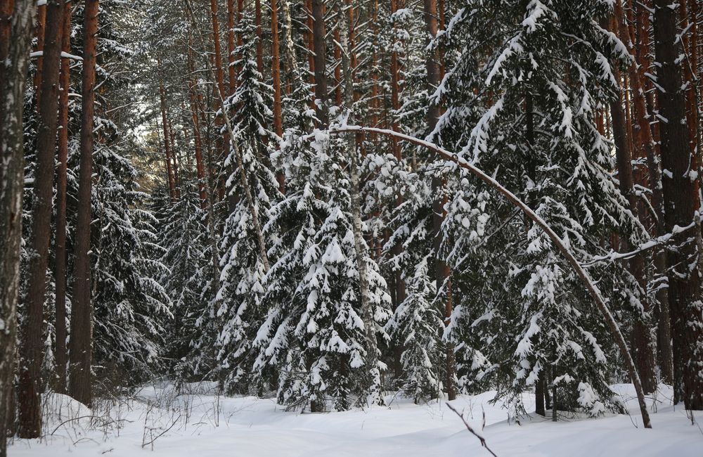 Photograph by Дмитрий Фетисов