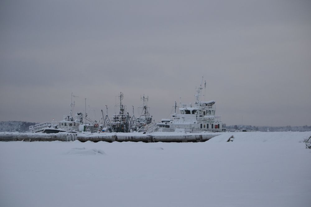 Photograph by Анна Голубова