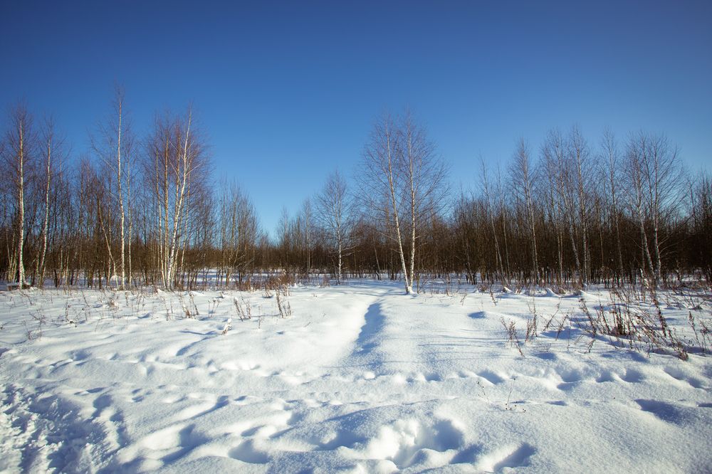 Photograph by Олег Дорошенко