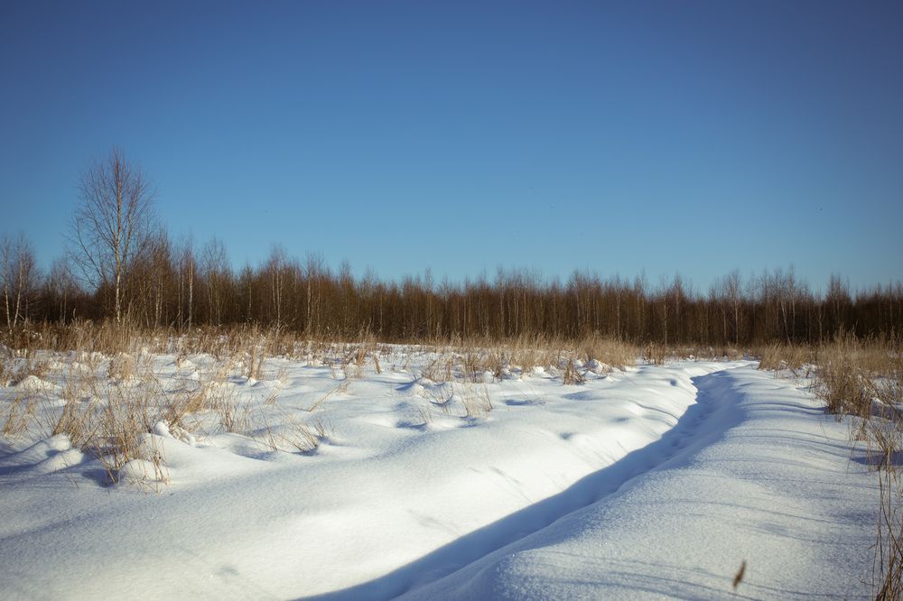 Photograph by Олег Дорошенко