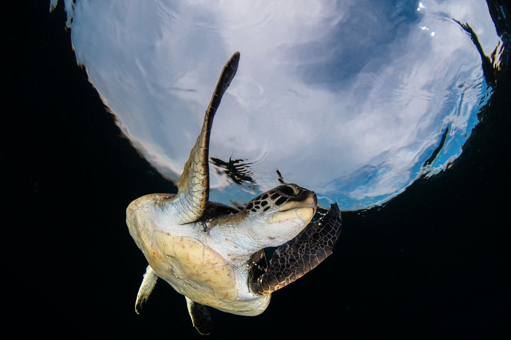 Photograph by Carlos Eduardo Barreto Pinheiro