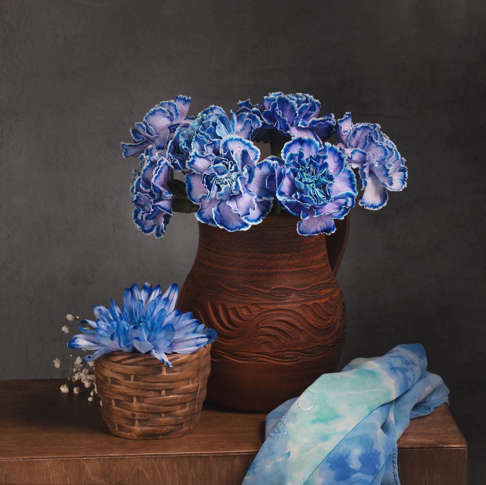 Фотография автора Наталья Василькова