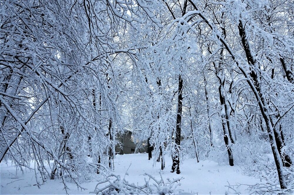 Photograph by jelena konickaja