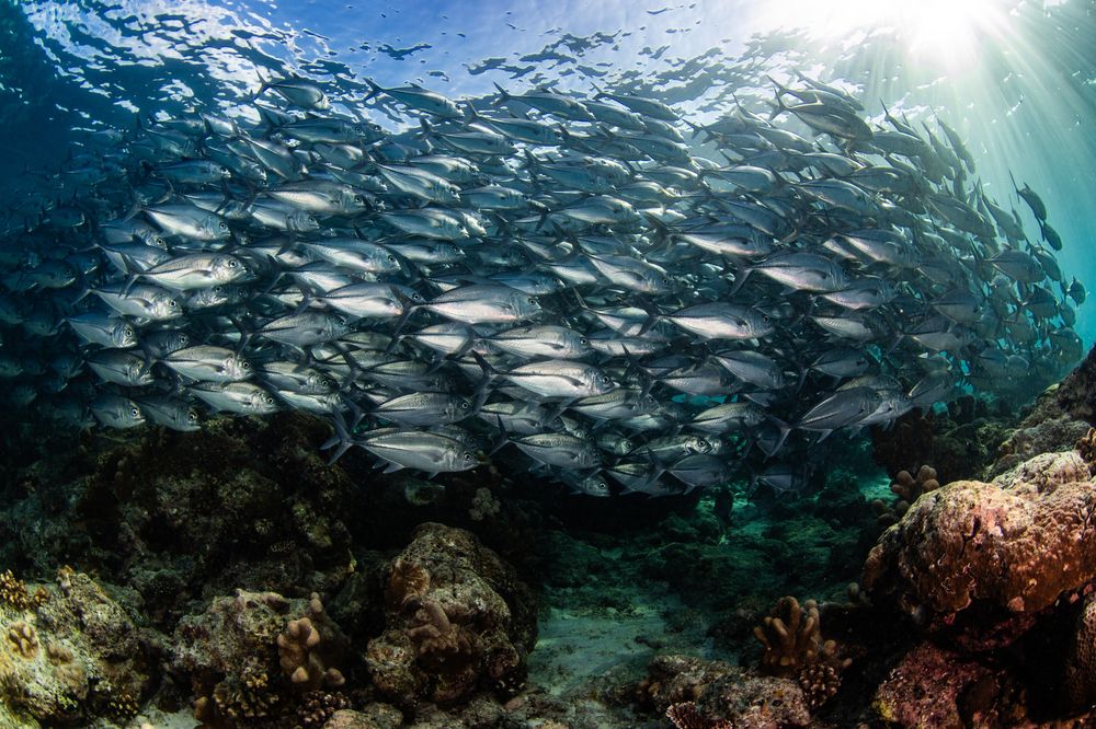 Photograph by Carlos Eduardo Barreto Pinheiro