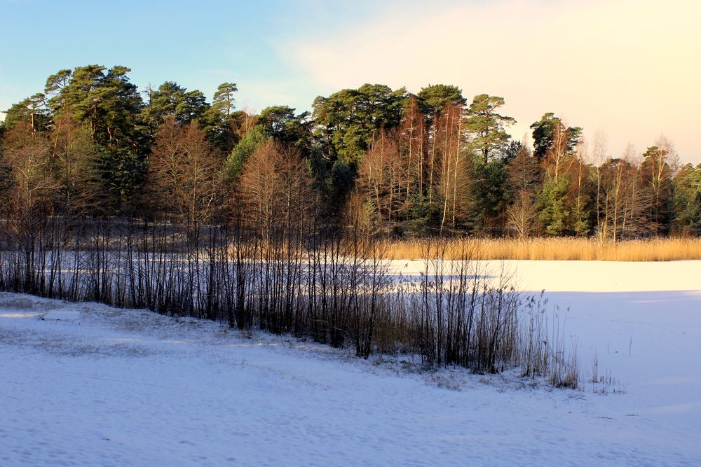 Photograph by Алексей Макаров