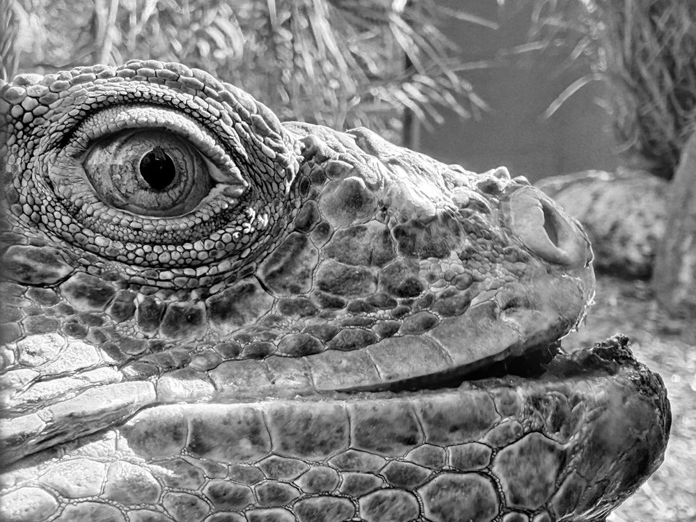 Photograph by Maxim Lip