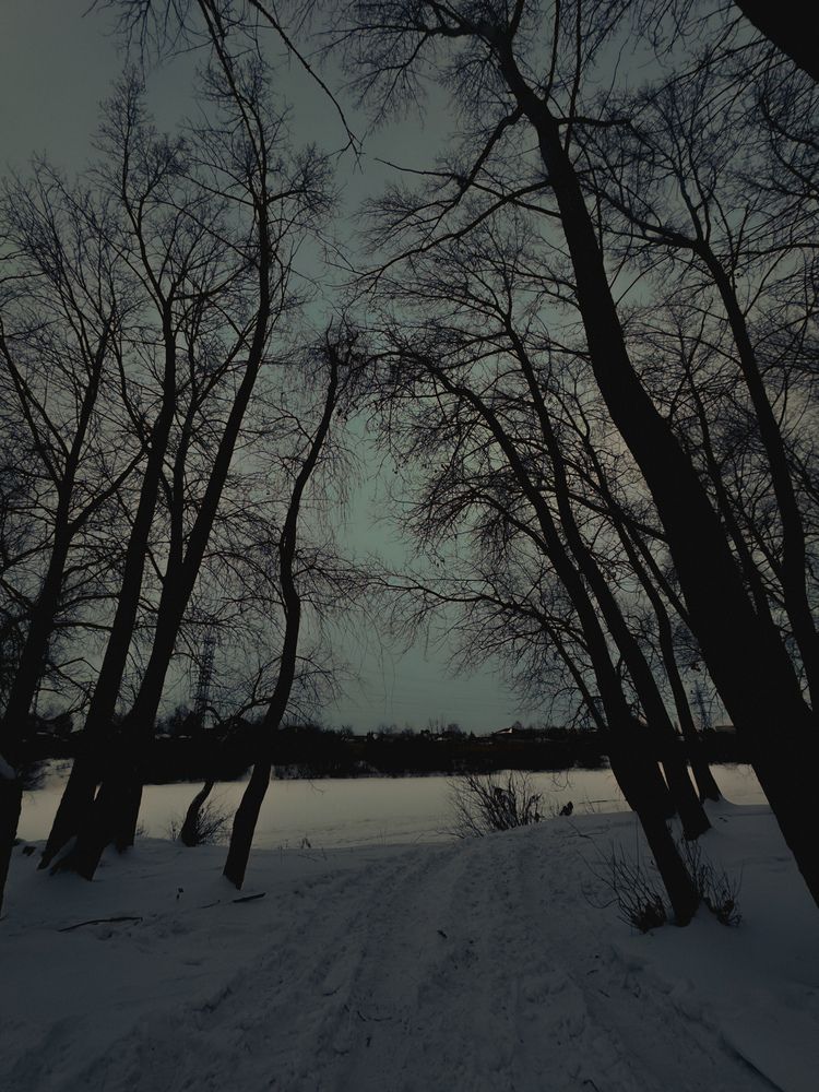 Photograph by Ника Савинкина