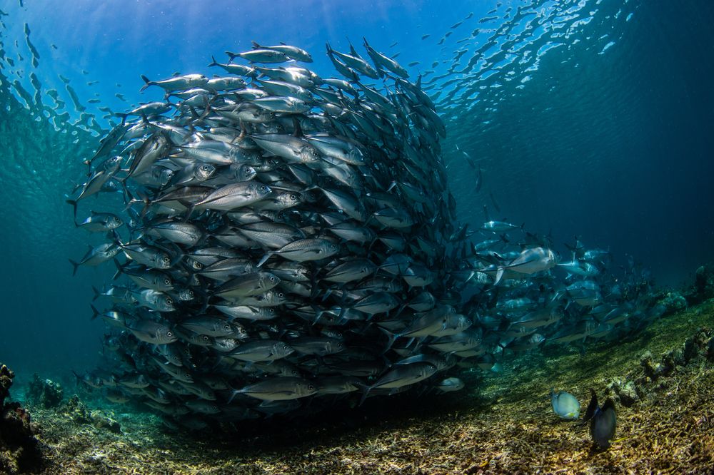 Photograph by Carlos Eduardo Barreto Pinheiro