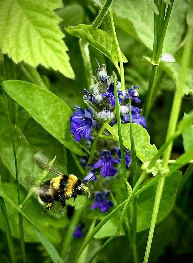 Photograph by Елена Громова