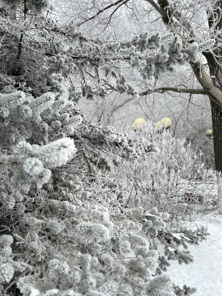 Photograph by Татьяна Калайда