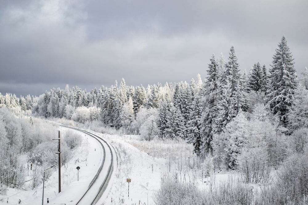 Фотография автора Иван Комаров