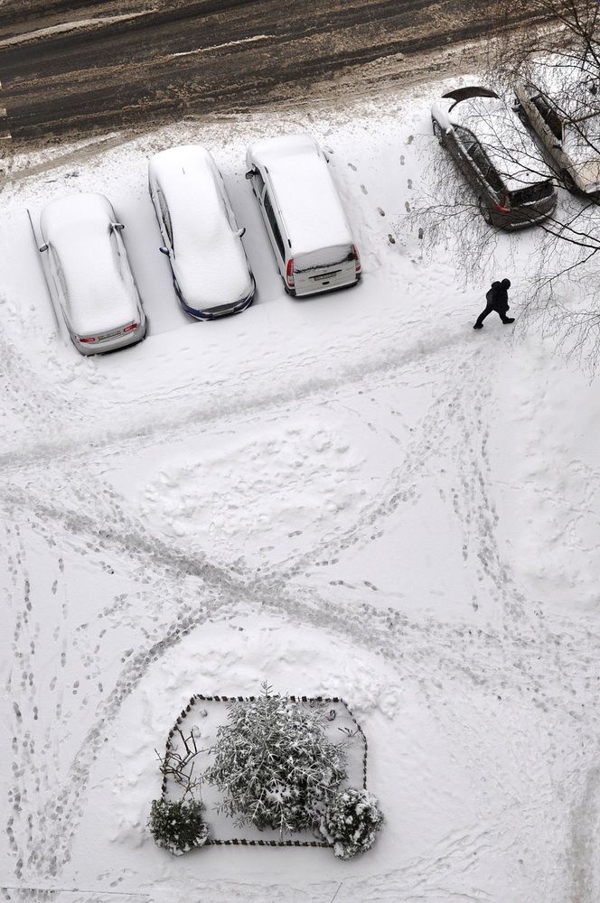 Photograph by Светлана