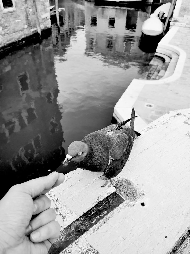 Photograph by Вадим Зрюев