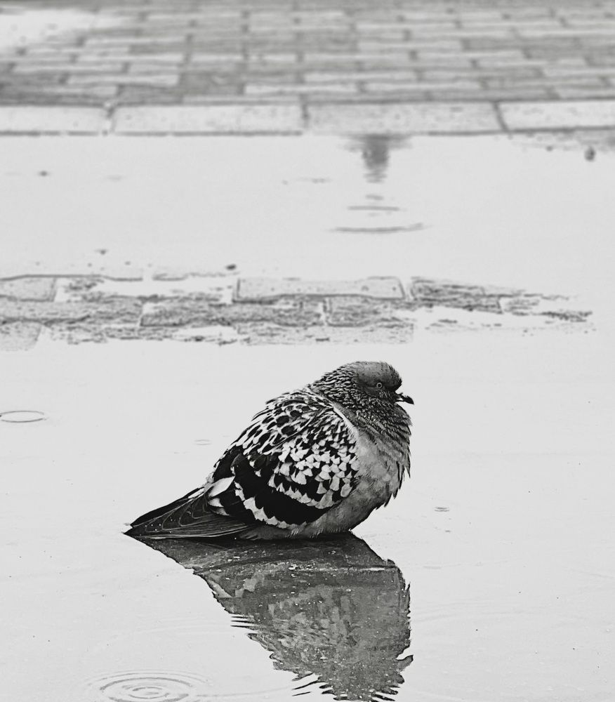 Photograph by Олег Травин