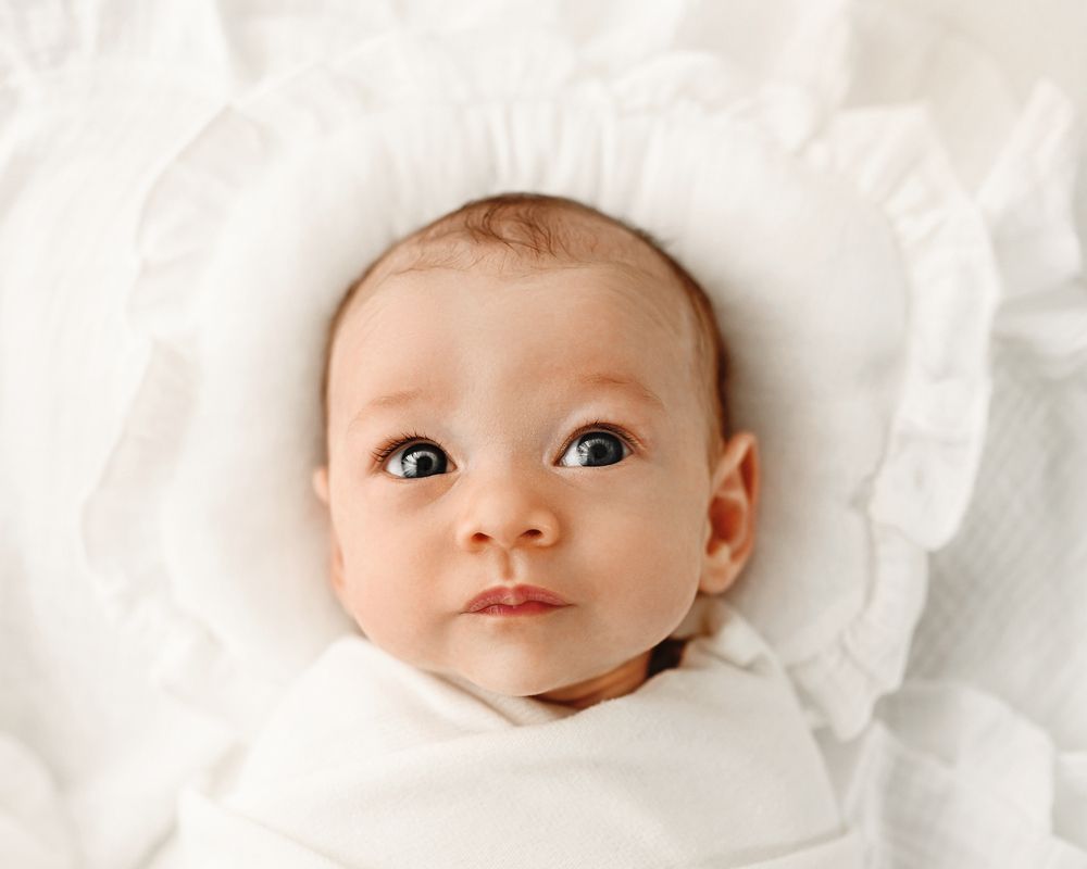 Photograph by Alexandra Whelan