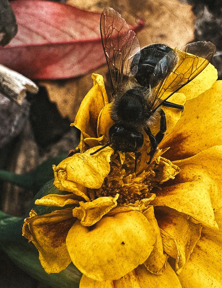 Photograph by Диана Бадеева