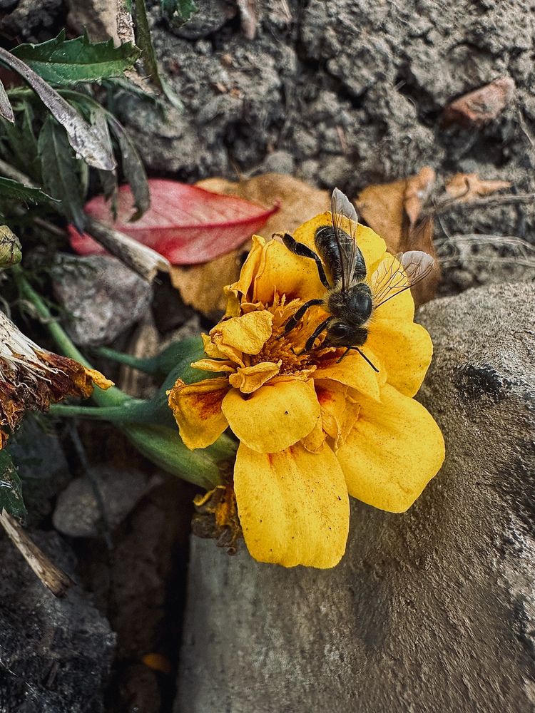 Photograph by Диана Бадеева