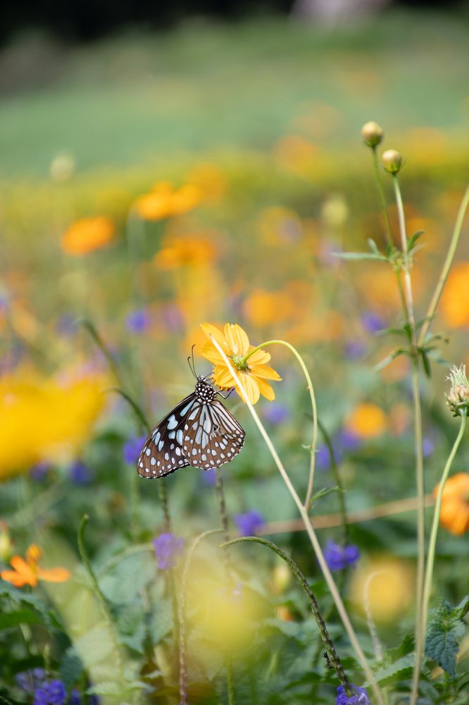 Фотография автора Anna Shchurok