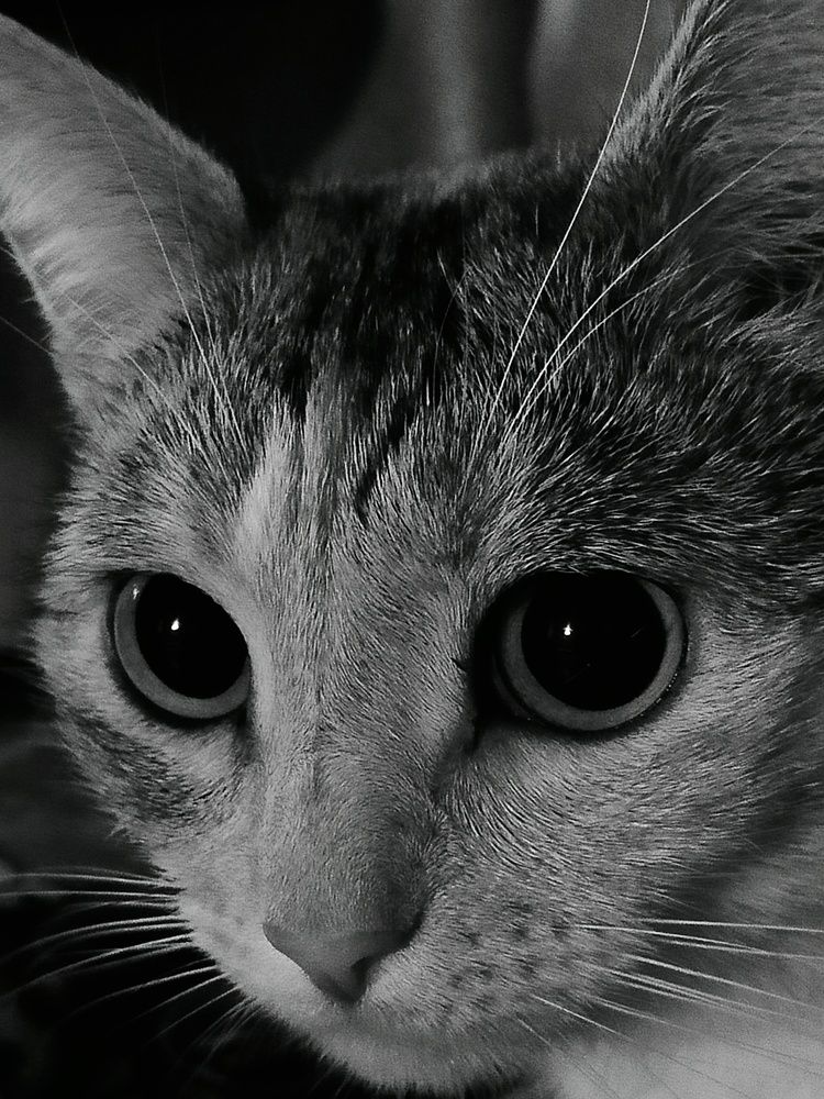 Photograph by Зульфия Набиуллина