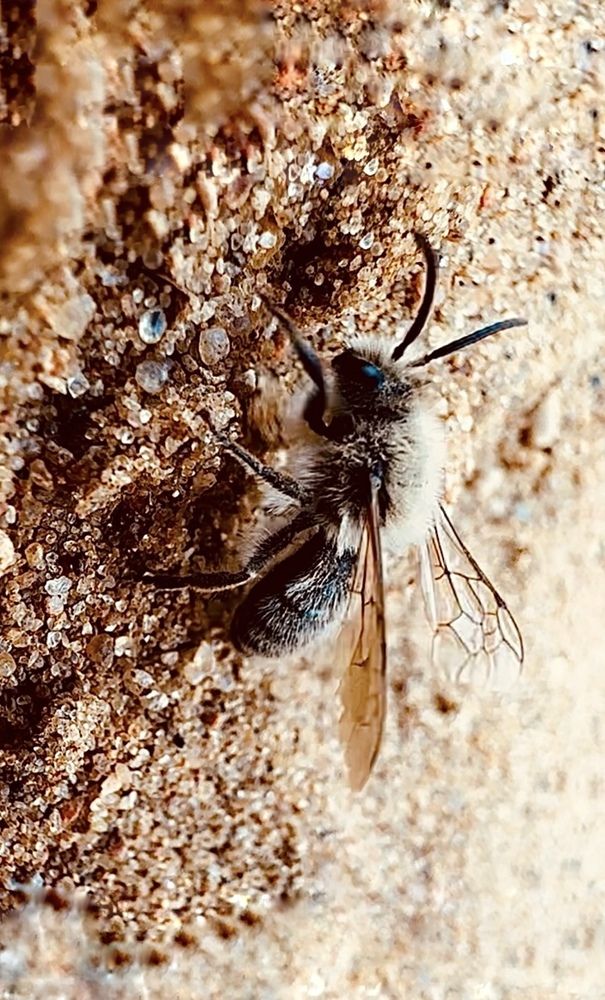 Photograph by Диана Бадеева