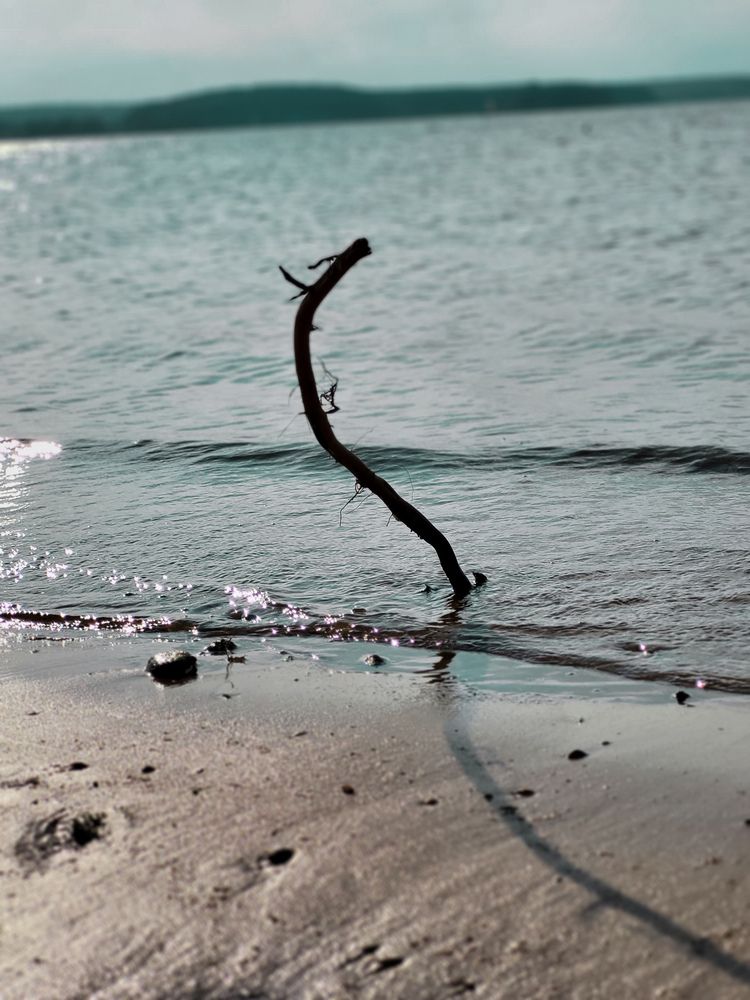 Фотография автора Ольга Дубалеко