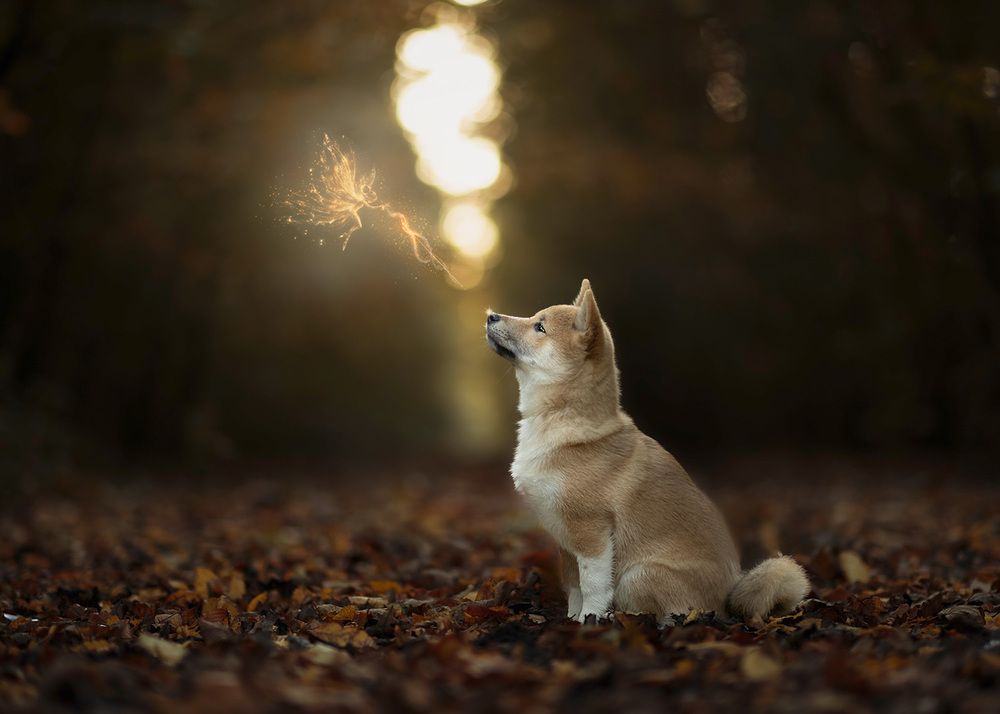 Photograph by Jolanda Boelhouwers Diederik