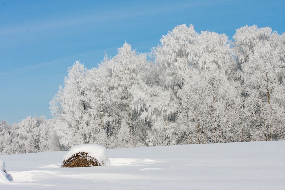 Photograph by Сергей Слукин