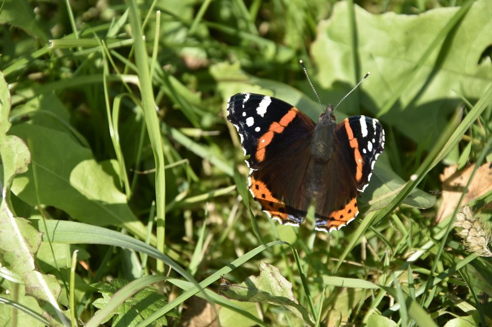 Photograph by Юлия Ю.