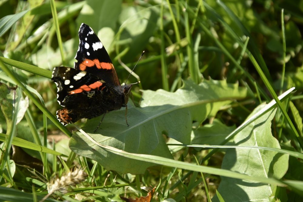 Photograph by Юлия Ю.