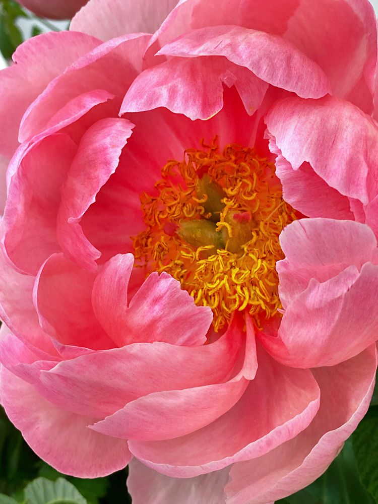 Фотография автора Наталья Василькова