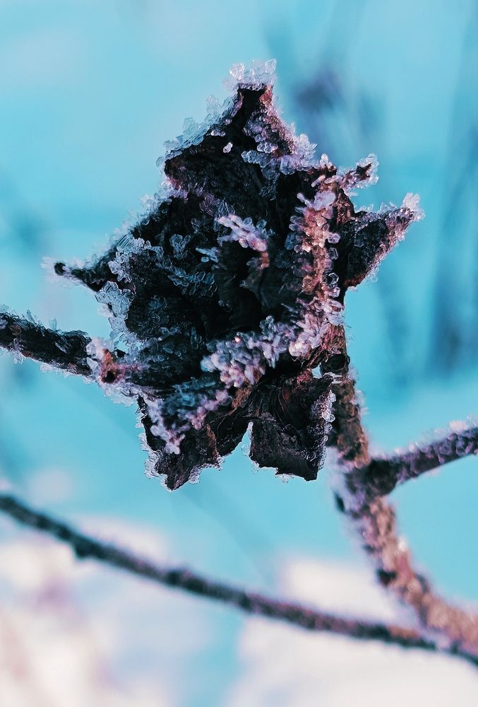 Photograph by Татьяна Пятернёва