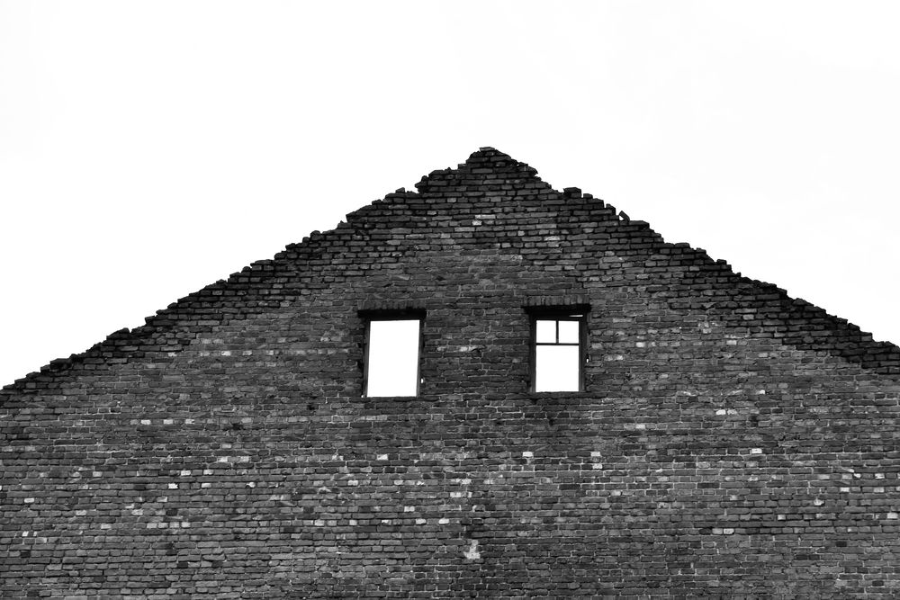 Photograph by Olga Mendosa