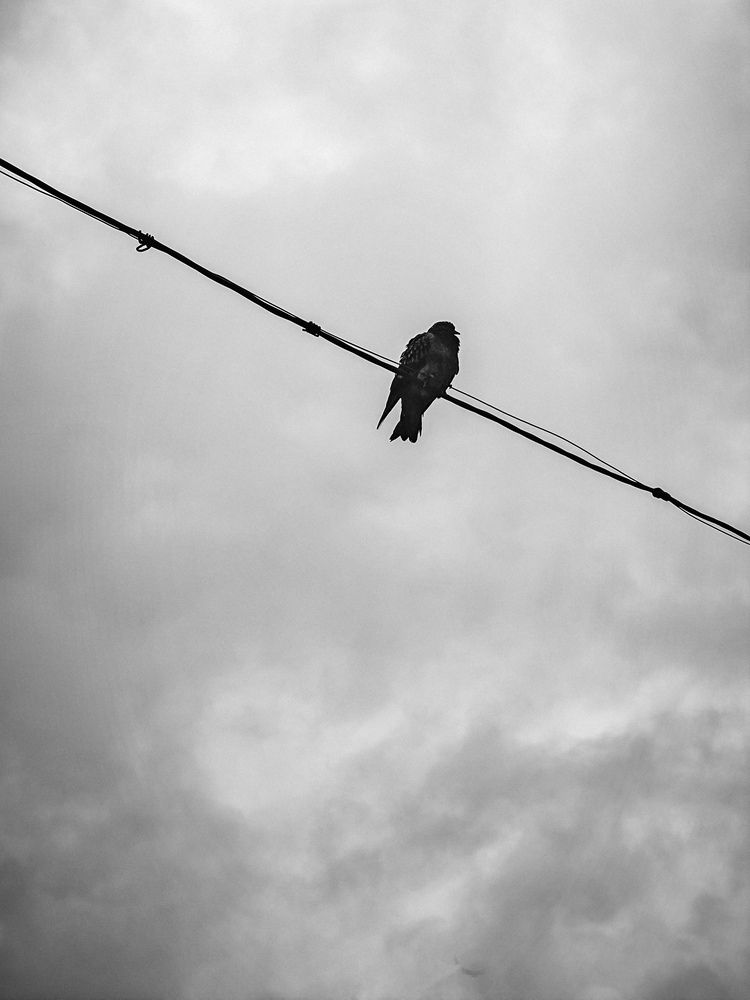 Photograph by Светлана Фоменко