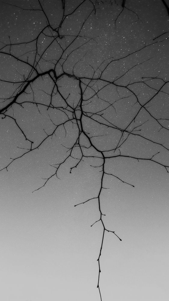 Photograph by Владимир Лобанов