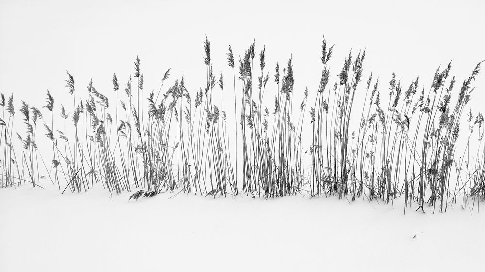 Photograph by Владимир Лобанов