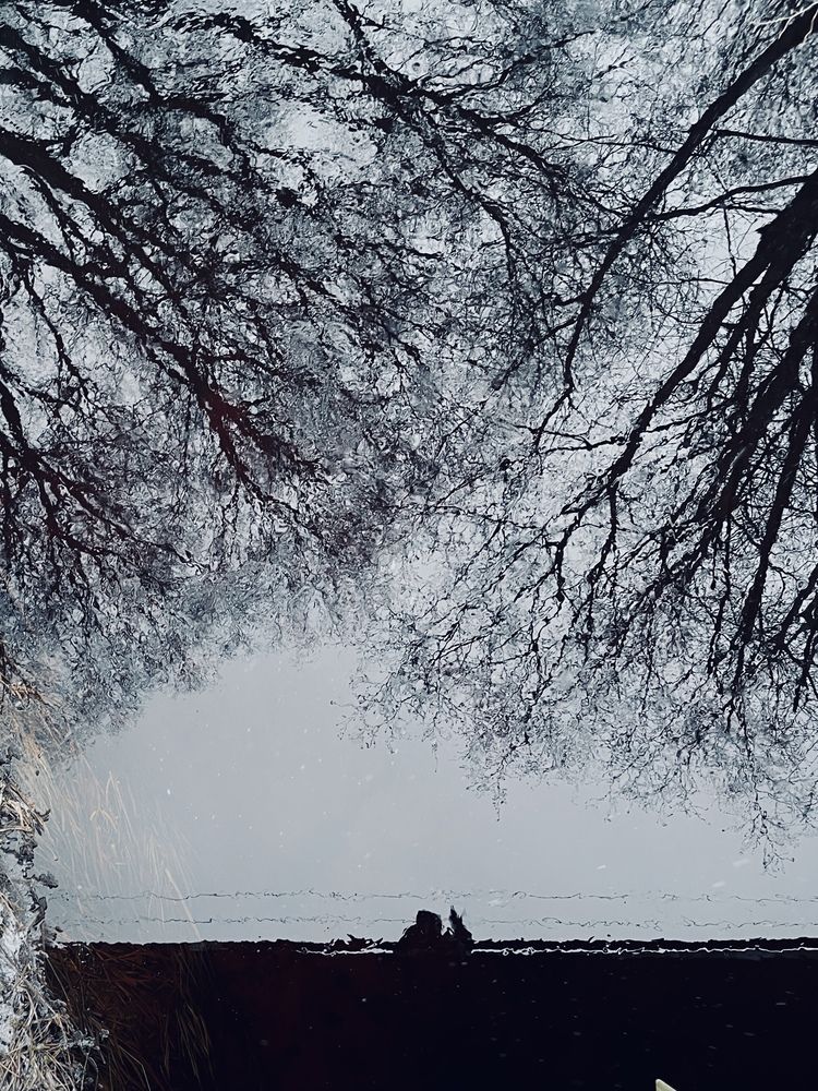 Photograph by Евгения Галенкова