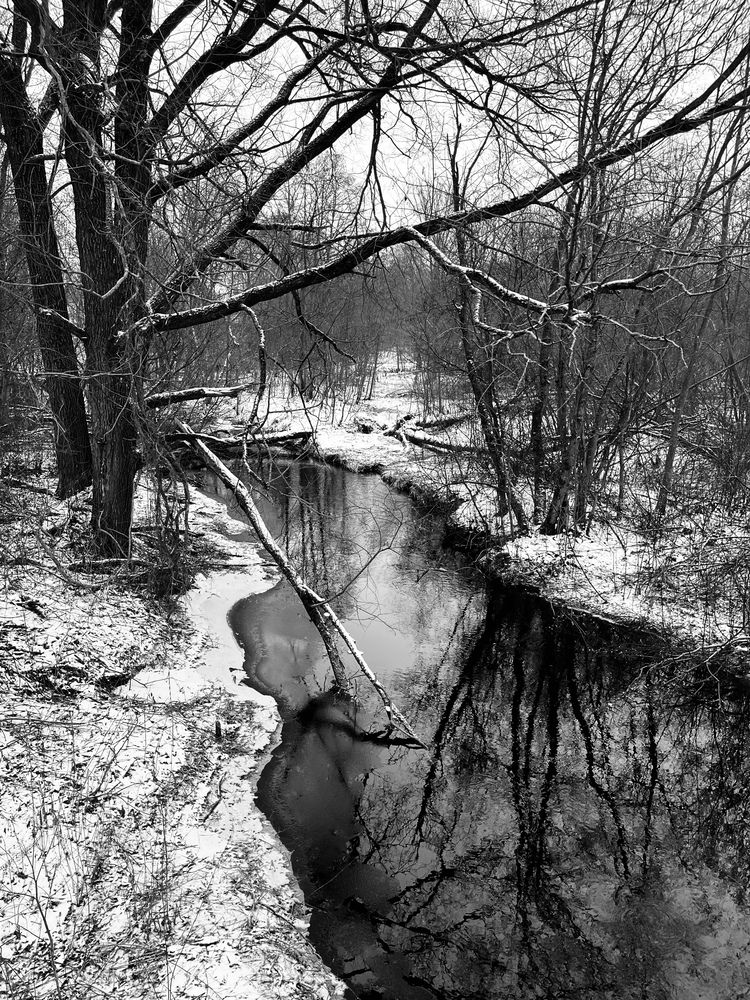 Photograph by Евгения Галенкова