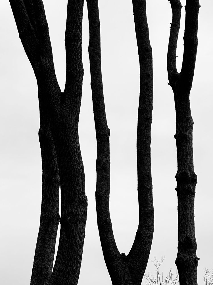 Photograph by Kateryna Verbytska