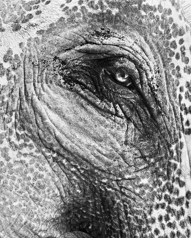 Photograph by Kateryna Verbytska