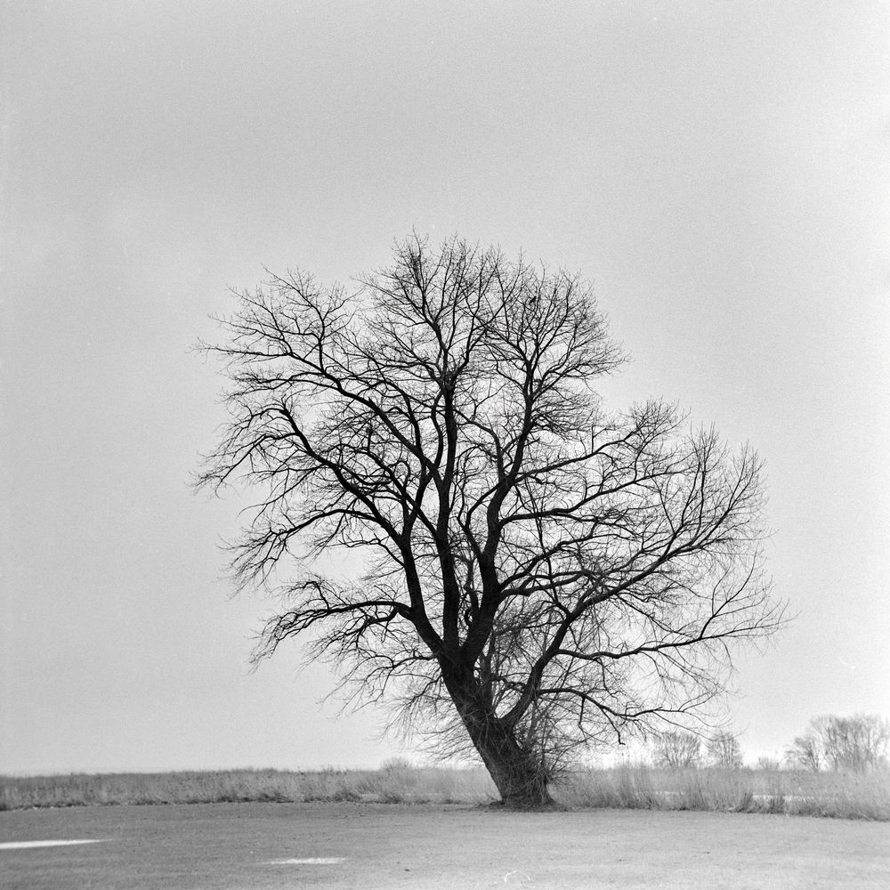 Фотография автора Eimar Kull