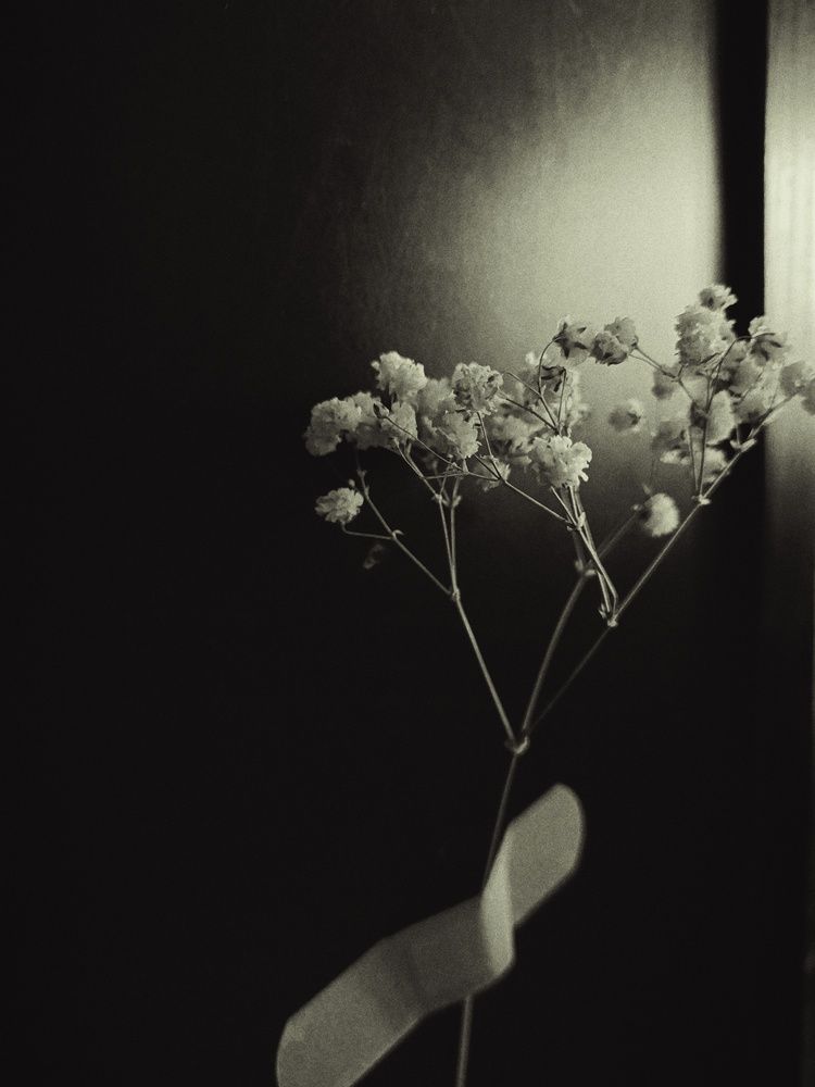 Photograph by Мазымова Елена