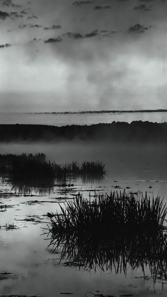 Photograph by Татьяна Котова