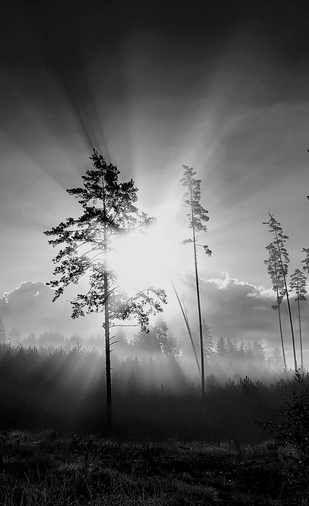 Photograph by Татьяна Шандромайло