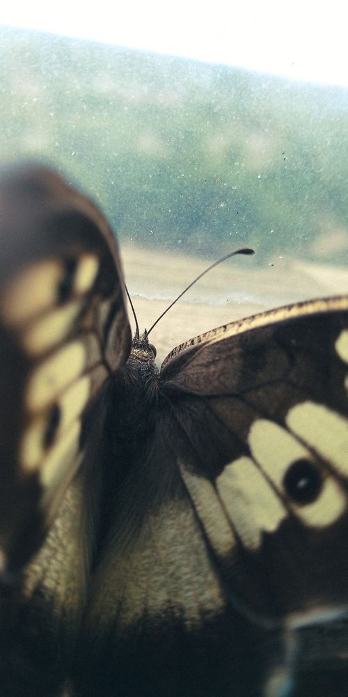 Photograph by Ульяна Бедрицкая