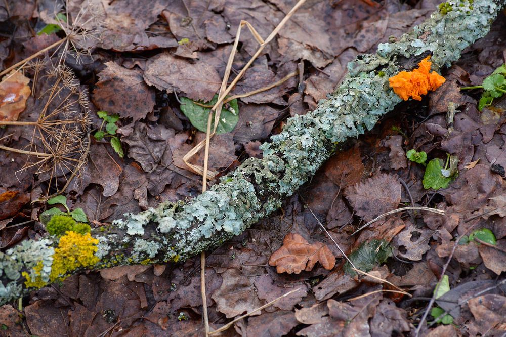 Photograph by Эдуард Шадров