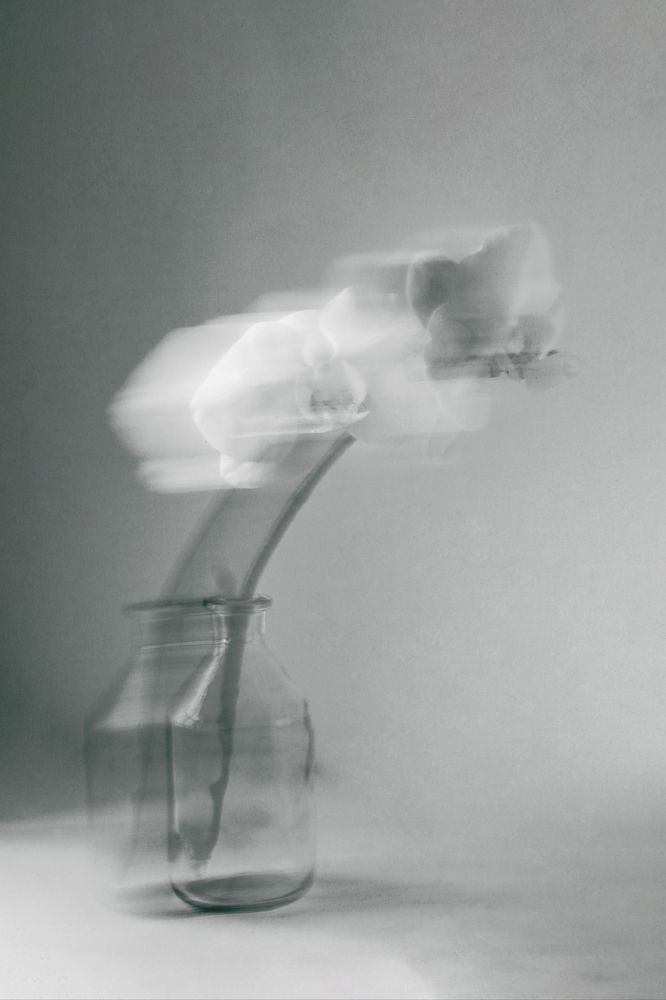 Photograph by Давыдова Алла