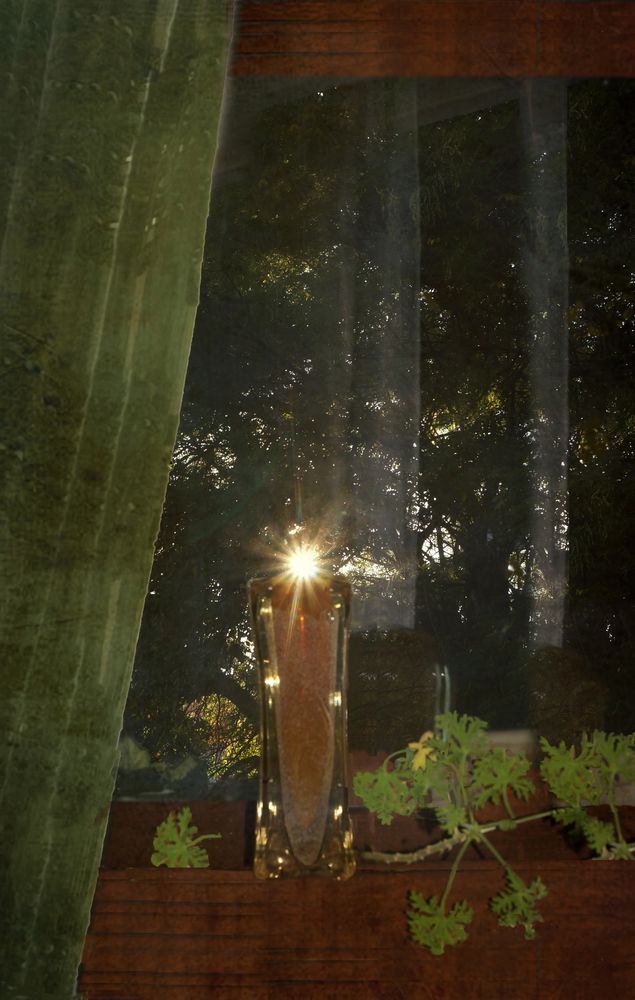 Фотография автора Penka Berberova