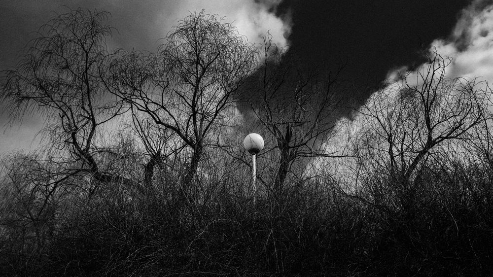 Photograph by Loptev Andrey