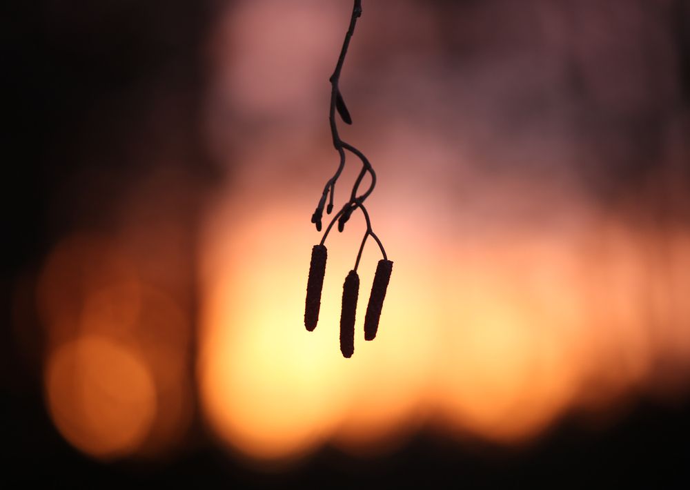 Photograph by Дмитрий Фетисов